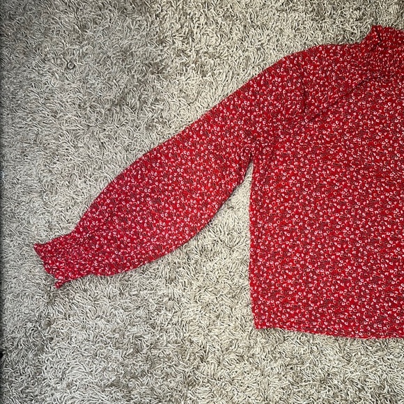 Gap Red Floral Sheer Long Sleeve High Neck Top with Elastic Hem&Neck Size XLG - Picture 3 of 8